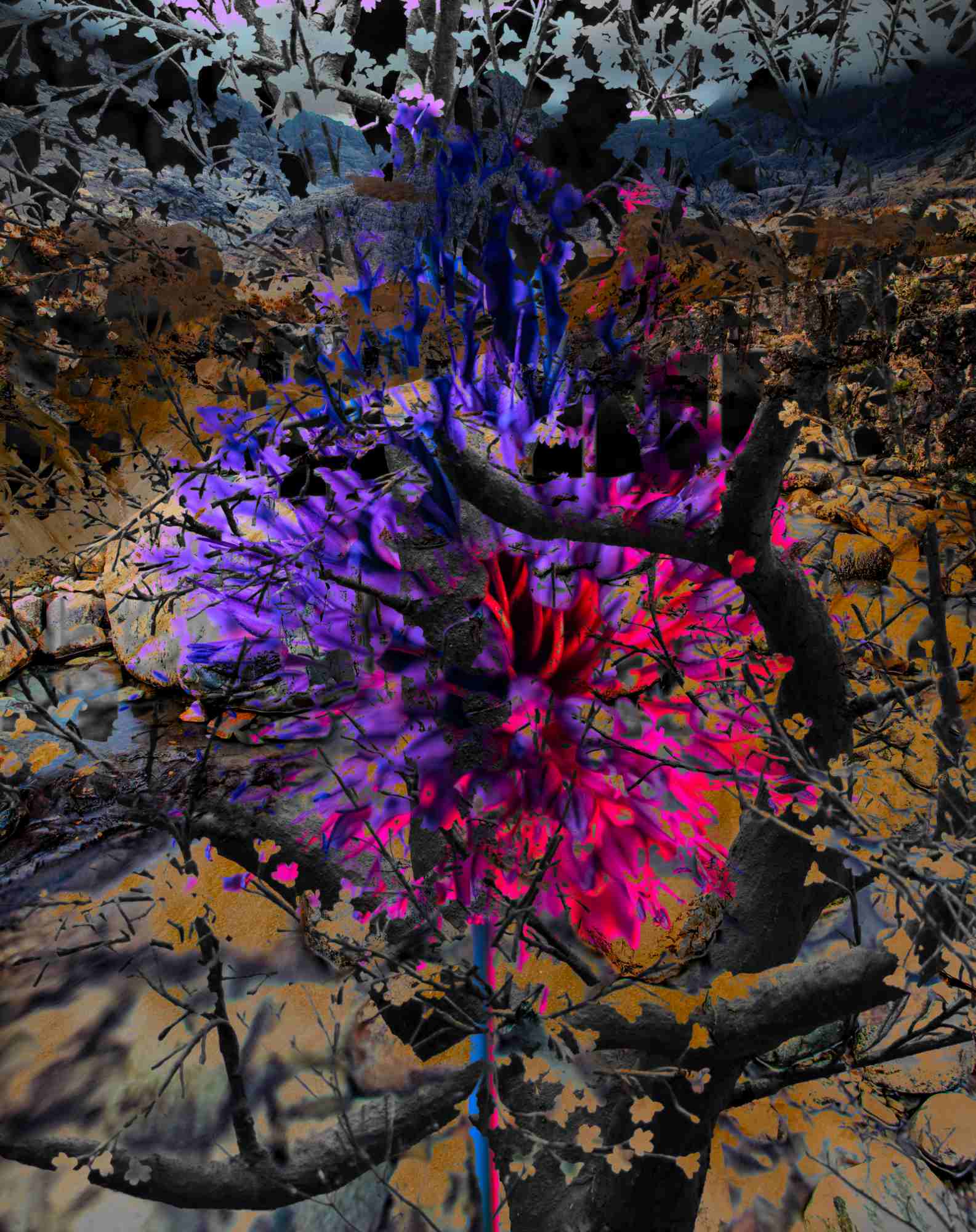 Moody collage sheet with dark florals, deep purples, bright fuchsia, and organic textures layered over an earthy background.