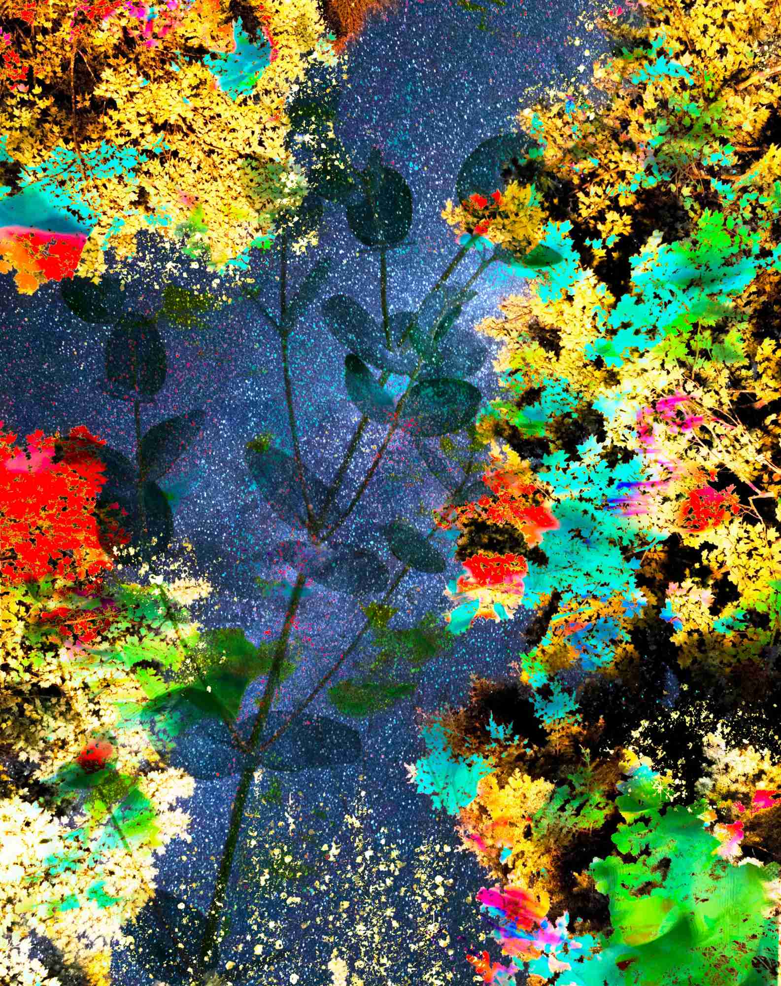 Collage sheet with a cosmic background, bright color bursts, and transparent leaf overlays