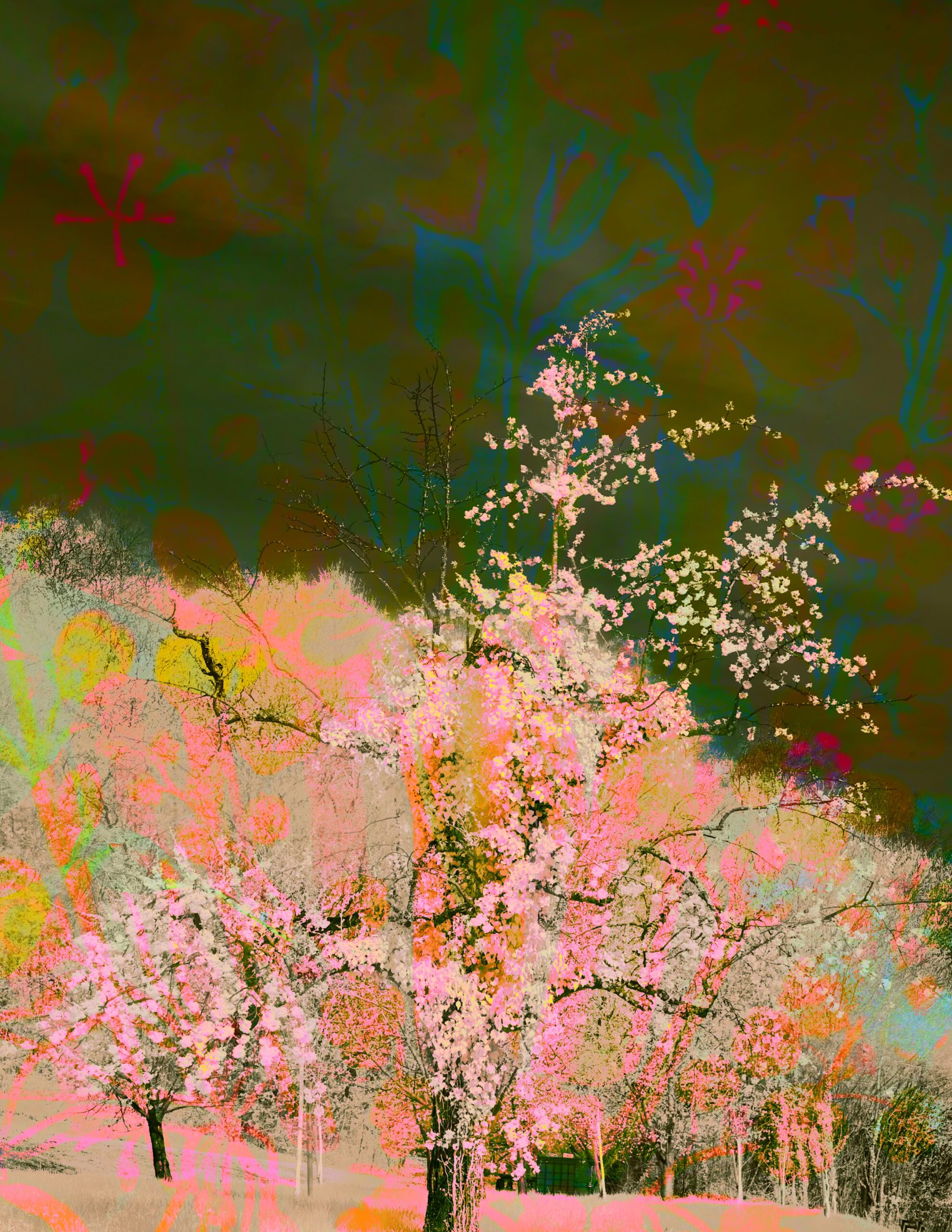 Abstract collage sheet of spring blossom trees with pink and orange tones on a dreamy green background.