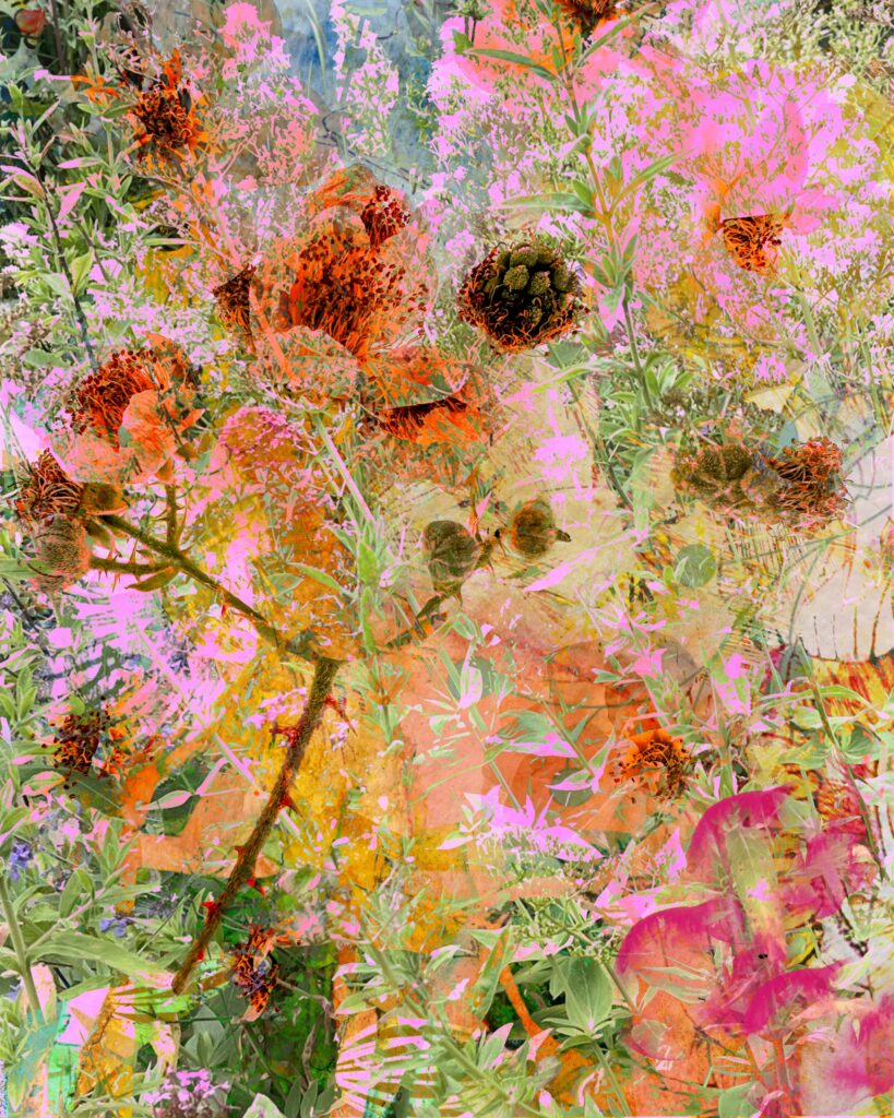 Layered botanical collage with wildflowers, pink lilies, and orange thistle blooms – vibrant mixed media background for art journaling and crafts.

