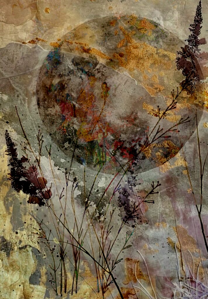 free botanical moon collage sheet printable for art journals and mixed media collage