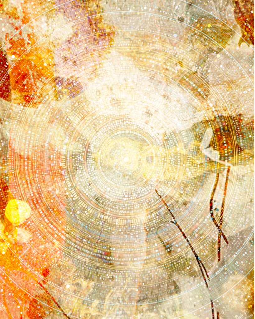 Pink and coral floral abstract collage paper with watercolor textures, gold botanical line art, and white hand-drawn marks.