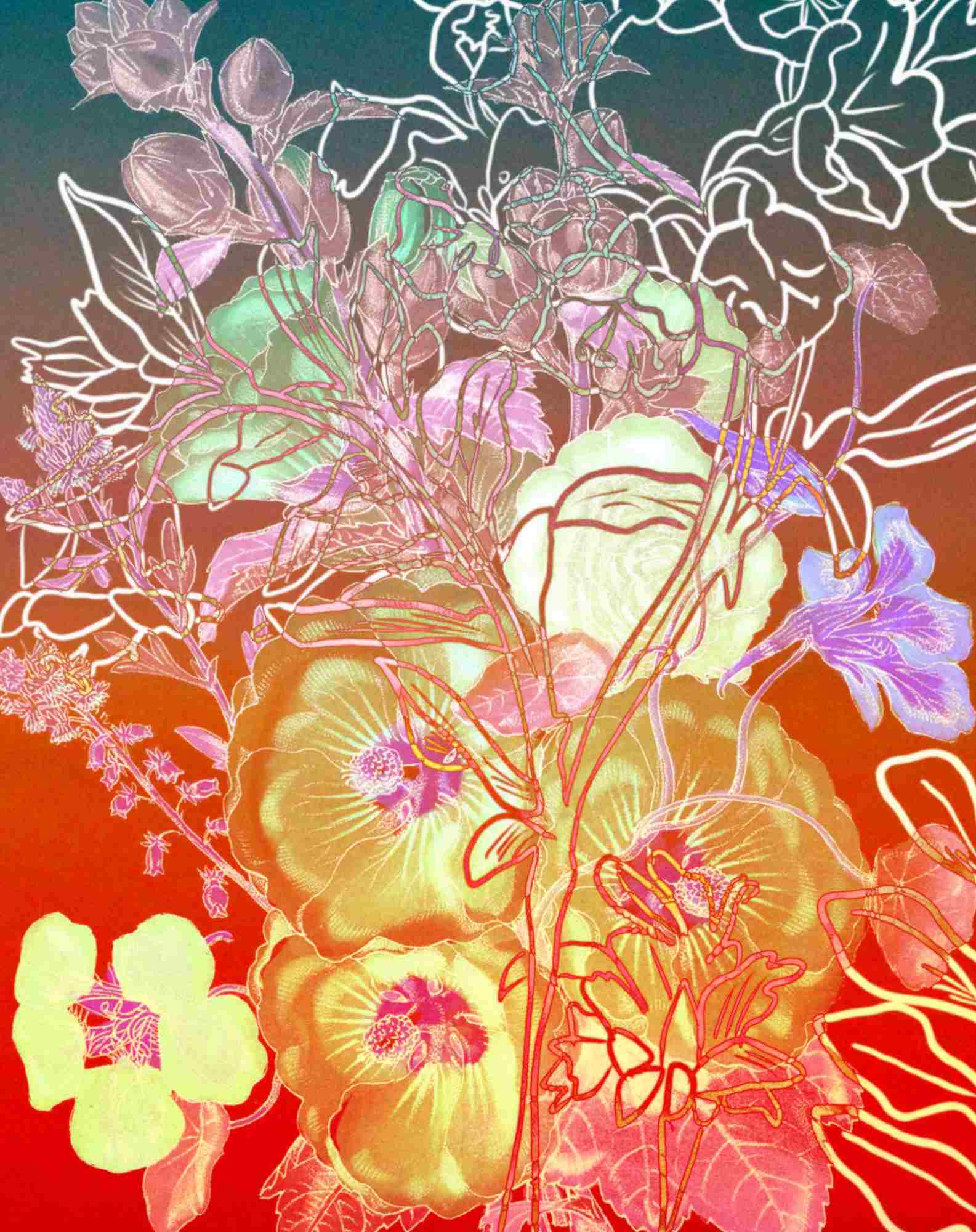 Digital floral artwork featuring pastel-colored botanical outlines over a red-orange to teal gradient background, with soft texture and glowing effects.